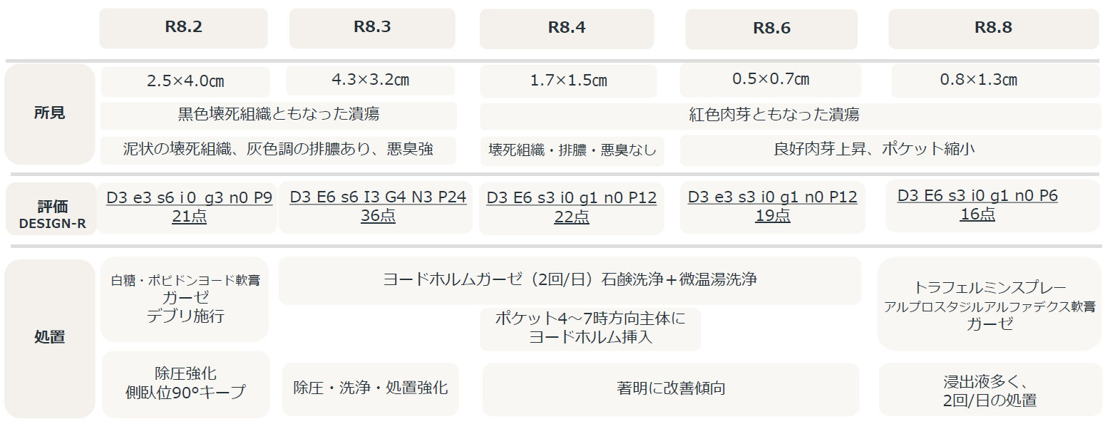 褥瘡の状態と支援後の経過を示す資料